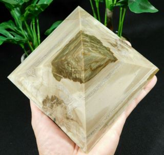 A Huge Polished Petrified Wood Pyramid Sculpture From Madagascar 1401gr