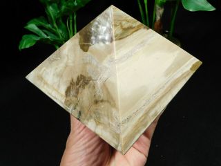 A HUGE Polished Petrified Wood PYRAMID Sculpture From Madagascar 1401gr 3