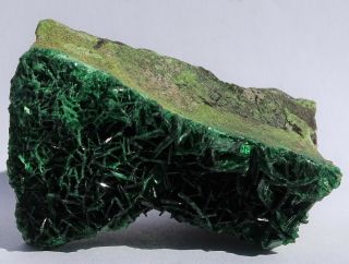 Hot Torbernite Crystals On Matrix - - Musonoi Mine,  Dr Congo - - 140kcpm On Ludlum 3