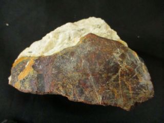 Solid Red/brown Zincite Pod In Fluorescent Calcite & Willemite,  Franklin,  Nj