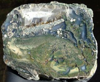 Mw: Petrified Wood Green & Agate Limb Cast - Hampton Butte,  Oregon - Polished Slab