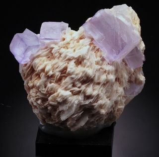 Fluorite Gem Crystals On Baryte - Find Taourit Morocco /al180