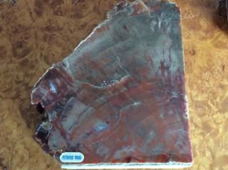 Arizona Red Petrified Wood Book Ends 5 Lbs 3