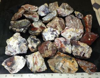 Rm69 - Old Stock - Crazy Lace Agate - Mexico - 10.  2 Lbs - Us 983