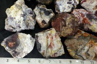 rm69 - OLD STOCK - Crazy Lace Agate - Mexico - 10.  2 lbs - US 983 2