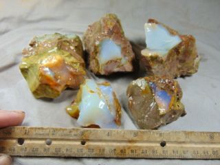 Opal Butte Opal Cutting Rough 3.  60 Lbs