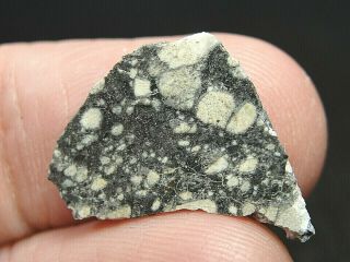 Meteorite Nwa 11273 Achondrite Lunar Feldspathic Breccia - 11273 - 0028 - 0.  83g