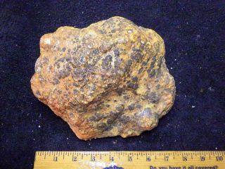 Z Coprolite - - Petrified Dinosaur Poop Rough 8 Lbs