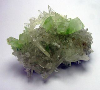 Augelite Fine Green Crystals On Quartzs From PerÚ.  3 Maclas Japan Law Quartzs.
