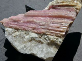 Pink Tourmaline Crystals - Black Mountain Mine - Rumford,  Maine