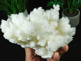 A Big 100 Natural Bright White Aragonite Crystal Cluster With A Stand 1333gr