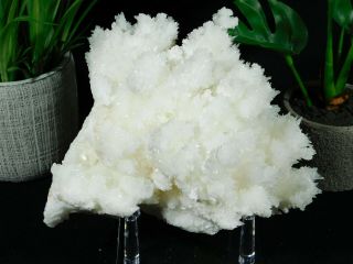 A BIG 100 Natural Bright White ARAGONITE Crystal Cluster With a Stand 1333gr 3