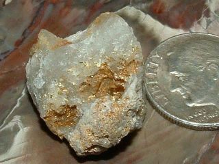 Nevada Gold Quartz Specimen 4.  2 Gram Gold Nugget Native Gold In Quartz