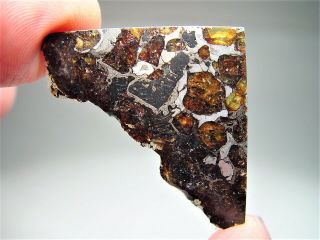 Museum Quality Crystals Brahin Pallasite Meteorite 7.  8 Gms