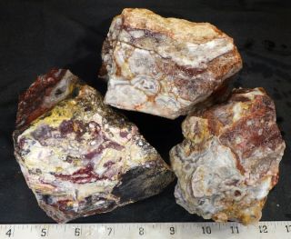 Rm69 - Old Stock - Crazy Lace Agate - Mexico - 7.  9 Lbs - Us 981