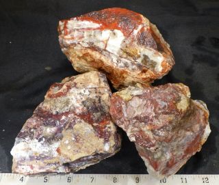 rm69 - OLD STOCK - Crazy Lace Agate - Mexico - 7.  9 lbs - US 981 2