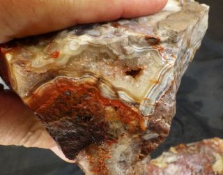 rm69 - OLD STOCK - Crazy Lace Agate - Mexico - 7.  9 lbs - US 981 3