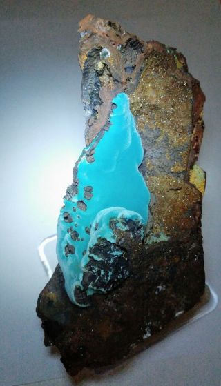 Wow - Teal Blue Rosasite Crystals W/calcite In Matrix,  Ojuela Mine Mexico