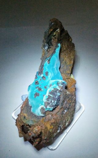 WOW - Teal Blue Rosasite crystals w/Calcite in matrix,  Ojuela mine Mexico 2