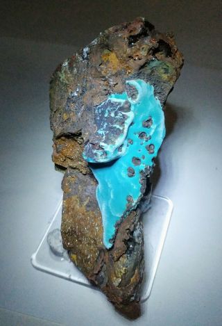 WOW - Teal Blue Rosasite crystals w/Calcite in matrix,  Ojuela mine Mexico 3