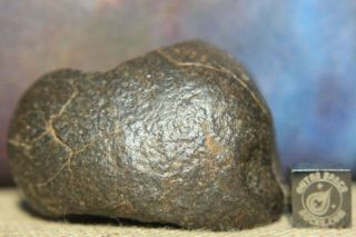 Nwa Unclassified Meteorite 105.  8 Gram Highly Desert Polished Individual