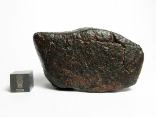 Nwa X Meteorite 117.  82g Desert Varnished Delight