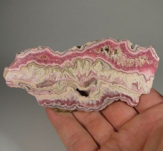 4.  6 " Banded Pink Rhodochrosite Polished Gemstone Slab Slice - Argentina