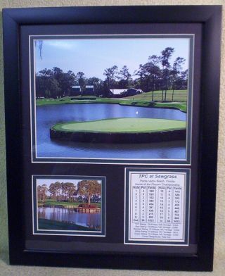 15x12 Framed Tpc At Sawgrass Golf Photos & Info Home Of The Players Championship