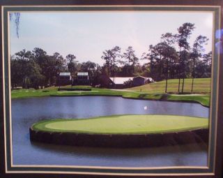 15x12 FRAMED TPC AT SAWGRASS GOLF PHOTOS & INFO HOME OF THE PLAYERS CHAMPIONSHIP 3