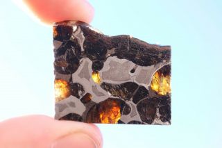 Brenham Meteorite Pallasite Part Slice 7.  5 Grams