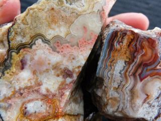 Rimrock: 3.  05 Lbs Mexican Crazy Lace And Laguna Lace Agate Rough