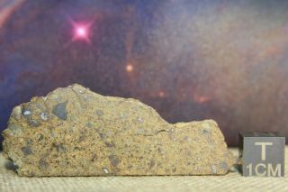 Nwa 6289 Ll4 Chondrite Meteorite 36.  6 Gram Partial Cut With Chondrules And Metal
