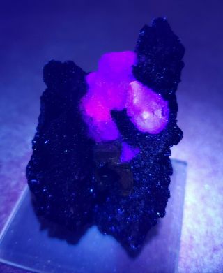 Stunning - Fluorescent Red/purple Fluorite Crystals,  Ojuela Mine Mexico