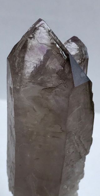 Amethyst Quartz Crystal Point - Colorado - Mineral Specimen - Metaphysical - Scepter