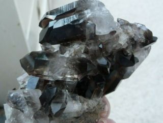 Natural Smokey Quartz Crystal Group With Double Terminated Crystals U.  S.  A.