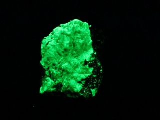 Fluorescent Green Willemite With Glaucochroite & Leucophoenicite,  Franklin,  Nj