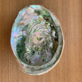 Vintage Abalone Shell With Lucite Feet Footed Trinket Bowl Soap Dish 7.  5” X 6 "
