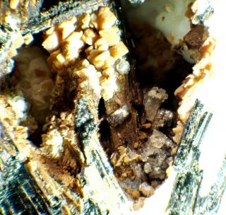 Rare Gaidonnayite Crystals With Aegirine Fine Mineral Specimen Msh