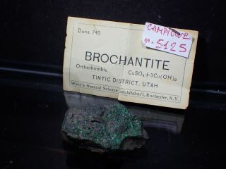 Brochantite Tintic District Utah Ex.  Ward 