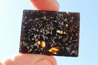 Admire Meteorite Pallasite Part Slice 6.  5 Grams