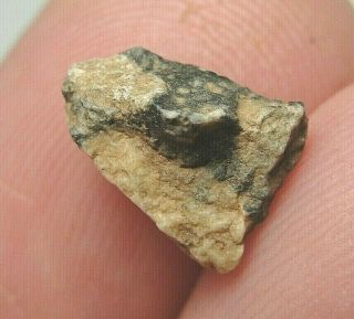 Meteorite Nwa 11273 Achondrite Lunar Feldspathic Breccia - 11273 - 0205 - 0.  46g