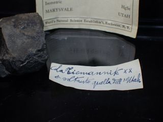 Tiemannite crystals Marysvale Utah ex.  Ward ' s Natural Science Establishment 2