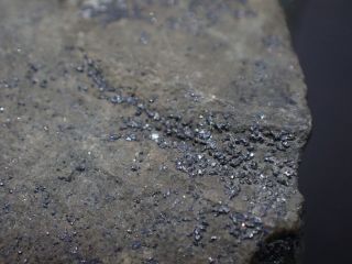 Tiemannite crystals Marysvale Utah ex.  Ward ' s Natural Science Establishment 3