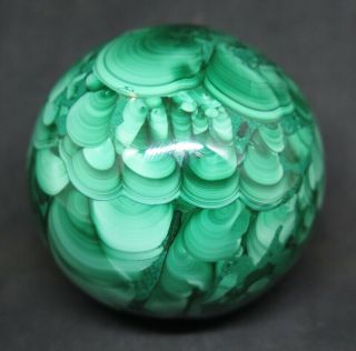 41mm 4.  4oz Natural Green Malachite Crystal Sphere Ball