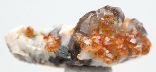 Spessartine Garnet Smoky Quartz Crystal Cluster Mineral Specimen China