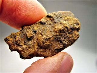 Very Rare Bendego Iron Meteorite Brazil 12 Gms