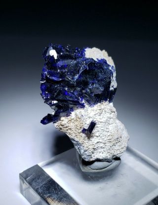 GORGEOUS - Deep Blue Azurite crystals on matrix,  Milpillas mine Mexico 2