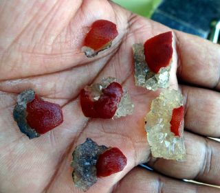 Red Fluorite Group Ball On Mm Quartz Mineral Specimen