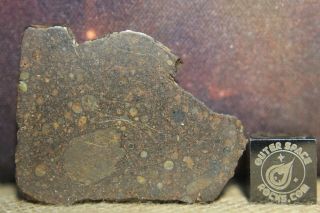 Nwa 12518 Ll3 Primitive Chondrite Meteorite 5.  2g Part Slice So Many Chondrules