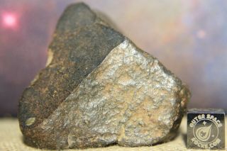 Nwa Unclassified Meteorite 124 Gram Desert Polished Individual - Windowed